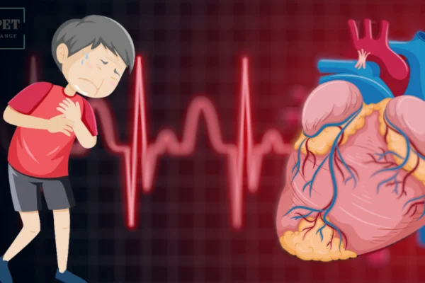 Heart Attack Symptoms-lifesnipet